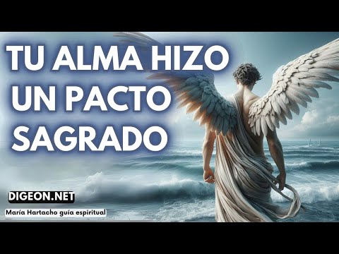 ANTES DE ESTA VIDA💌MENSAJE DE LOS ÁNGELES PARA TI -DIGEON-  Arcángel Sandalfón -Ens VERTI