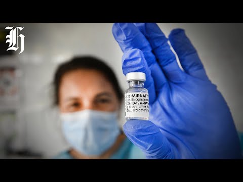YouTube video thumbnail: Māori Leaders Oppose Pae Ora Health Reforms