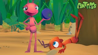 You Snooze, You Lose! 😴🍇 Boo Eats All the Berries | Antiks | Kids Cartoons | Party Playtime!