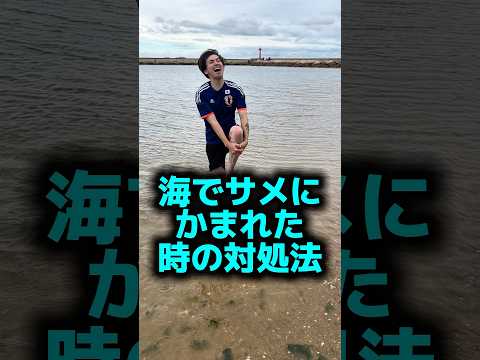 サメにかまれた時の対処法🦈#shorts