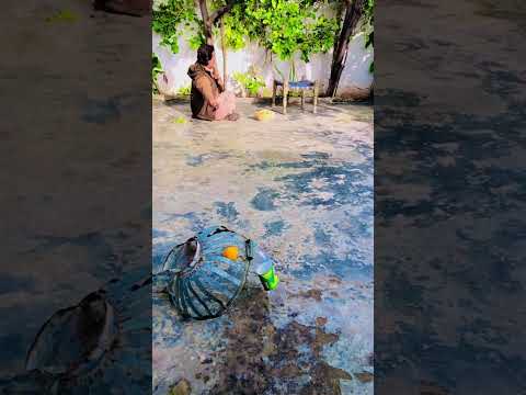 kia Kamal ka shorts hy don't miss end please wait#trendingshorts #viral #shortsvideo