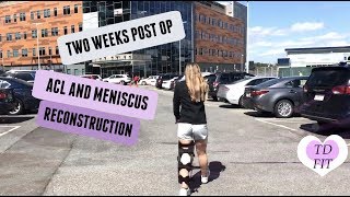 ACL and Meniscus Surgery - 2 Weeks Post Op Update