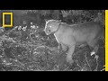 Analyzing Video Content and Tone