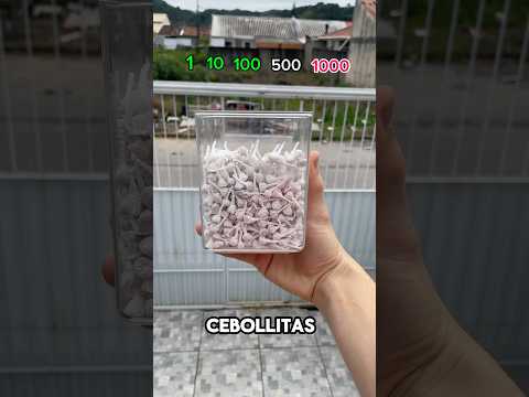 Qué pasa cuando revientas mil cebollitas? 💥💣