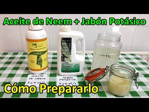 Cómo Preparar y Utilizar el Aceite de Neem