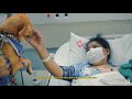 Animal-Assisted Intervention Project Insights