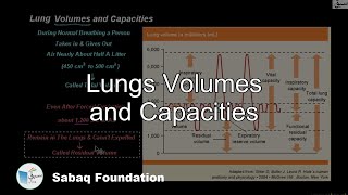Lungs Volumes and Capacities