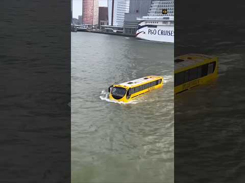 Do You Heard About Water Bus?