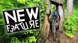These Trails Are TIGHT