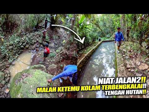 KOLAM ANGKER KATA WARGA !! KOLAM TENGAH HUTAN (Vertical Video)