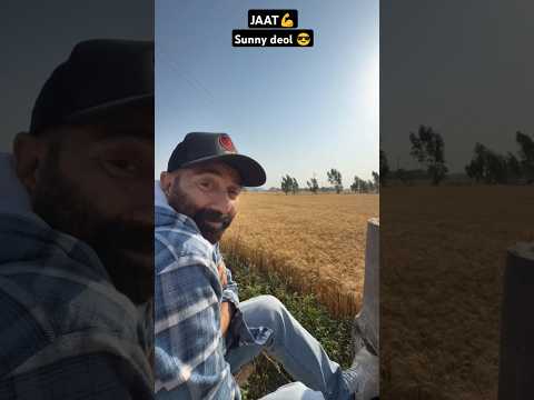 Sunny deol flight ✈️ delay Chandigarh airport so they come in farms for time spend talks about jaat💪