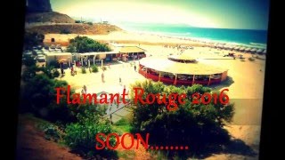 Summer 2016 "Era Istrefi" Flamant Rouge