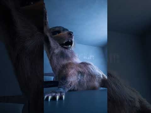 Crazy Squirrel  Morning Routine 🐿