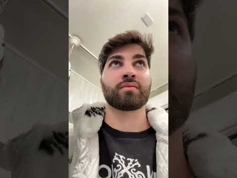 cafeteria com coruja no japão