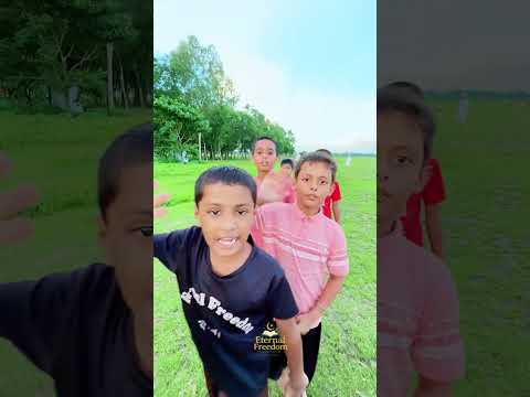 মিষ্টি বিকেলে খেলা শেষ করে জান্নাতী পাখিগুলো নিরে ফিরছে!🥰