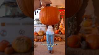Pumpkins with my guy bff🥹🎃 #bff #pumpkin #october