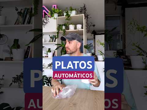 Platos automáticos. Stop Motion para guardar trastos #stopmotion #animandoobjetos #cuchara #helado
