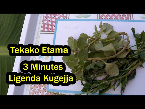 Tekako Etama Lye Mana Eddagala Lirino Just 3 Minutes Ligenda Kugejja