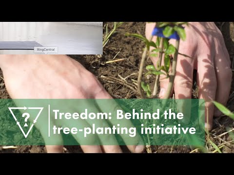 Treedom: Behind the tree-planting initiative | GUESS Advocacy