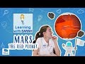 Exploring Mars: The Red Planet