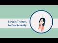 Biodiversity and Environmental Impact