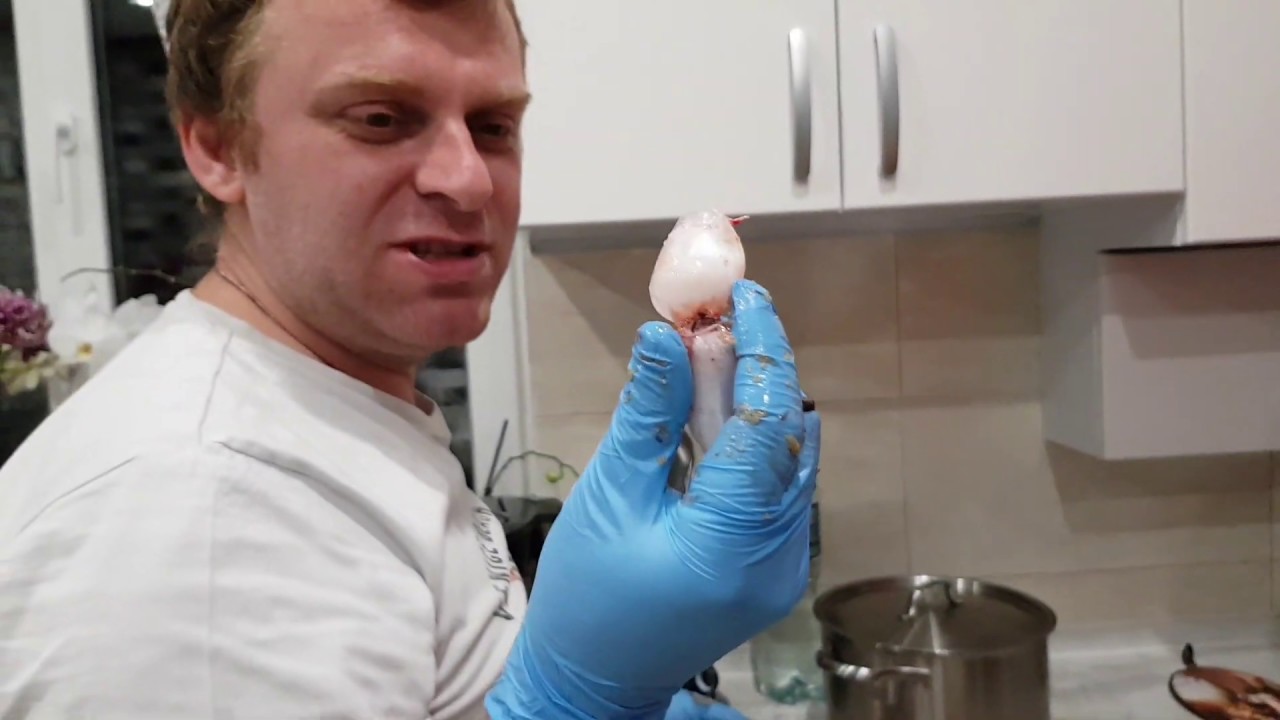 Истинные хозяйки чистят рыбу а мужчины отдыхают