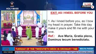 Catholic Mass Today || Daily Mass - Tuesday 19th August 2025 || Daily Mass Online