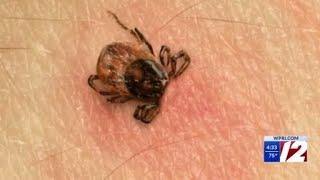 YouTube video thumbnail: RI Tick Season Returns