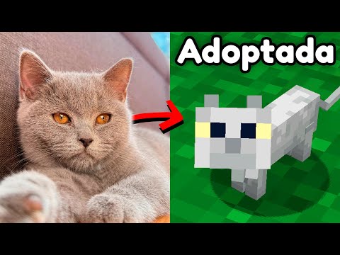 Adopté una Gata Abandonada y la Añadí a mi Mundo de Minecraft