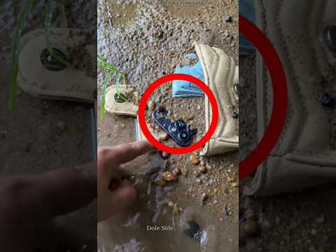 Man finds iPhone in the sea.#shortsvideo