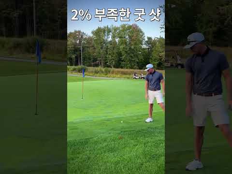 다들 이 정도는 치시죠? (2% 부족한 굿 샷) #golf #골프 #골프스윙