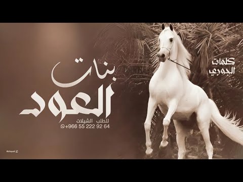 شيلة بنات العود بنات صالح  كلمات الجوري اسطورة الحرف  اداء صوت الجزاله ابو حمدان 2024