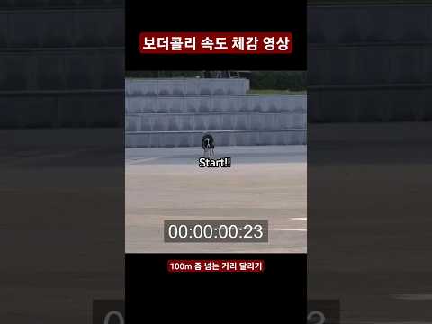 보더콜리의 100m 달리기 실력은? #shorts #보더콜리 #bordercollie