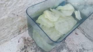 HOW TO CULTURE INFUSORIA AT HOME IN TAMIL