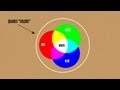 Understanding the Strong Force