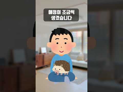아내가 키우는 '2년 된 고슴도치' 한 마리
