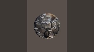 esp is live!