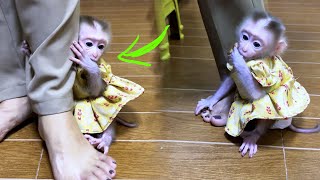 Tiny Maddox Need Mom’s Full Attntion By Tiqhtly Huq Her Leg