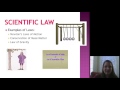 Scientific Theories and Laws Overview
