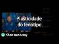 Influência do Ambiente no Fenótipo