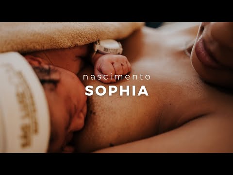 Nascimento da Sophia - São Luiz Star