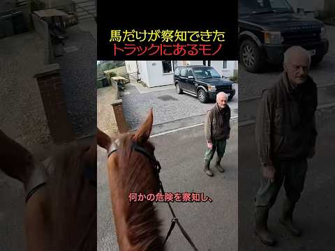 信じるべきは動物の本能
