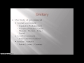 Government Systems and Their Characteristics