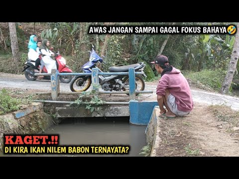 GOKIL.!! MANCING DI SELOKAN PINGGIR JALAN BIKIN GAGAL FOKUS BRO