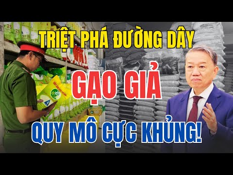 NÓNG! TBT Tô Lâm Bắt Ông Trùm Gạo Giả Gây Chấn Động Hà Nội!