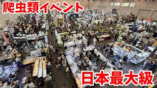 【今年もヤバい生体が大集合】日本最大級の爬虫類イベント、ジャパンレプタイルズショーが熱すぎたっ！！