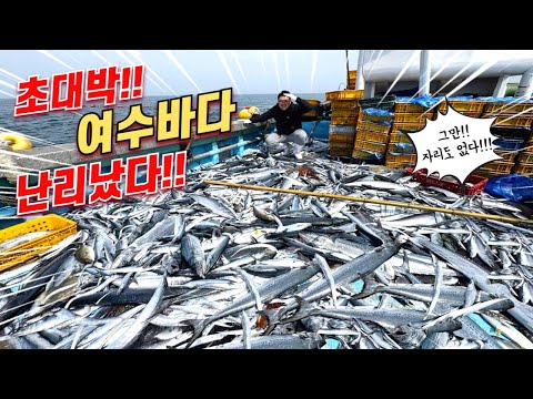 '대박 만선' 현재 여수 앞바다로 돈 주우러 가는 난리가 난 국민 생선! 더 넣을 곳도 없다!!