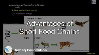 Advantages of Short Food Chains