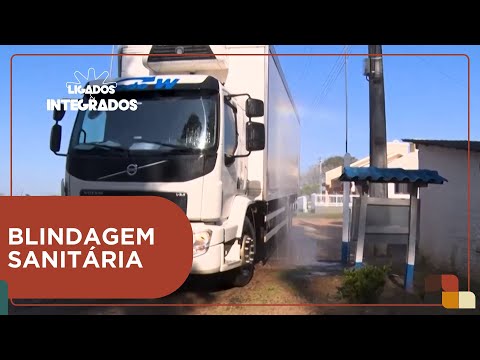 Quais são os principais pilares da biossegurança em uma granja? | Ligados & Integrados - 30/01/2025