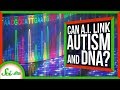 Understanding Autism Genetics